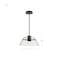 Nuvo Edmond, 17 Inch LED Pendant, Matte Black with Clear Glass 62/2062 - alternate 6